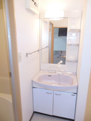 Washroom. Independent wash basin