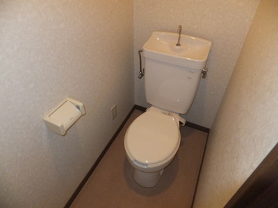 Toilet. Toilet with cleanliness