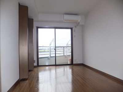 Living and room. Sunny bright room