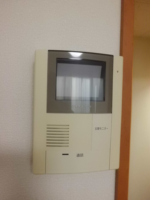 Security. Interphone with a monitor