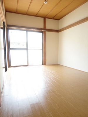 Living and room. Insect already in bright colors of the cushion floor