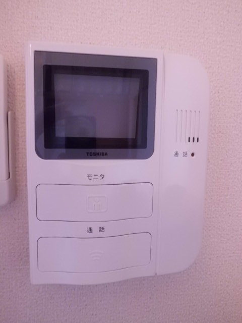 Security. Interphone with a monitor