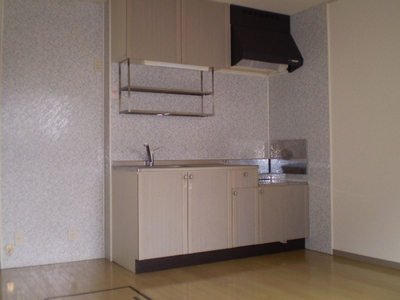 Kitchen. Two-burner stove can be installed