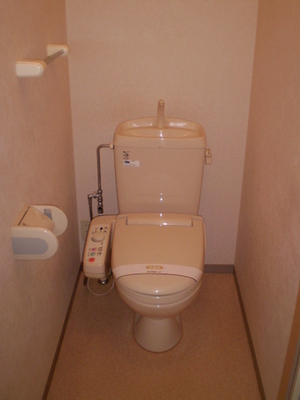 Toilet. Toilet
