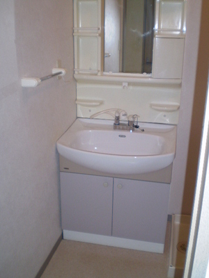 Washroom. Wash basin