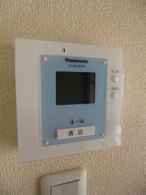 Security. Monitor with intercom