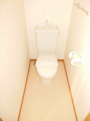Toilet. Toilet space