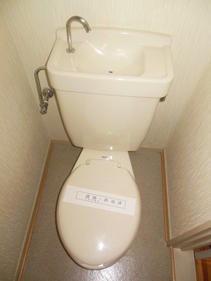 Toilet. Toilet