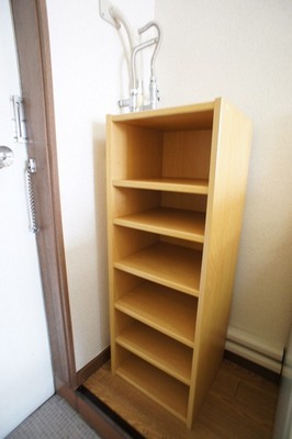 Other. Reluctance shoe box, The top plate there is also space for even small items.