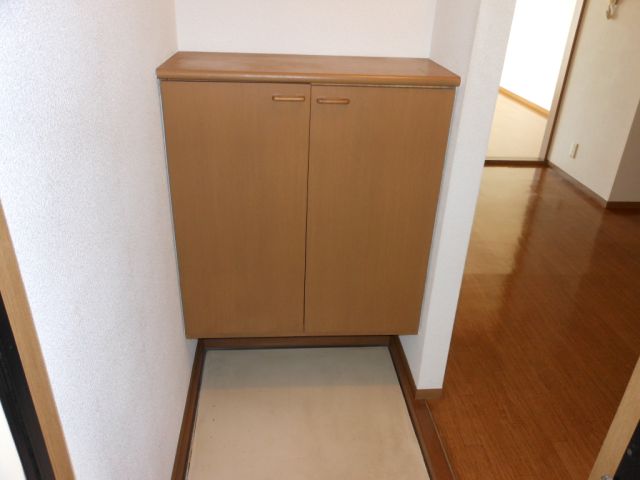 Entrance. Entrance clean with a shoebox