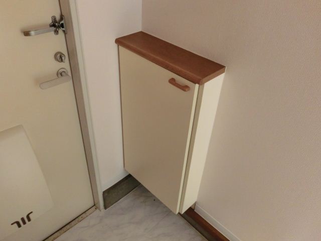 Entrance. It is a wide entrance, Also it comes with a shoebox