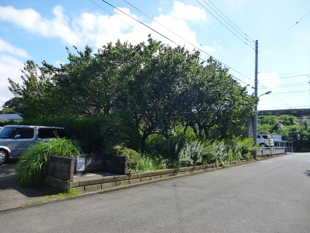 Local photos, including front road. Local (10 May 2013) Shooting