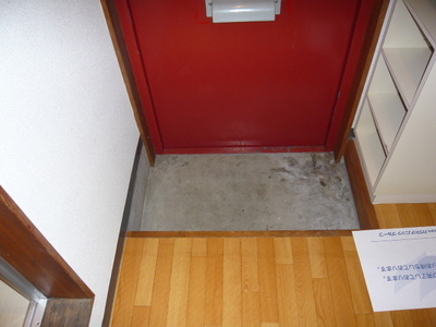 Entrance. Shoes with closet