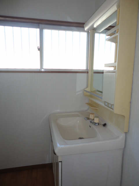 Washroom. Shampoo dresser