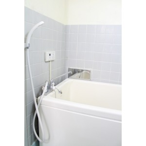 Living and room. Japanese style room