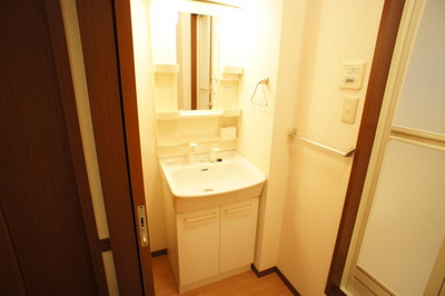 Washroom. Happy independence wash basin for women