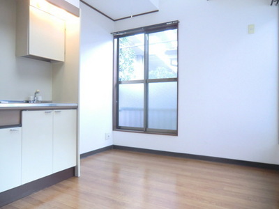 Living and room. Compact Western-style studio type