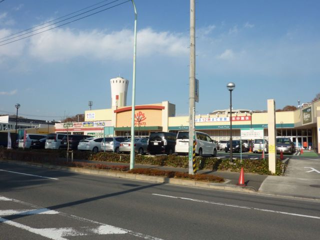 Shopping centre. 510m to the Alps (shopping center)