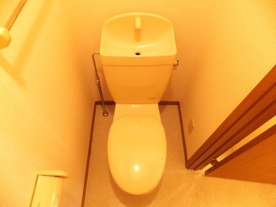 Toilet. Toilet