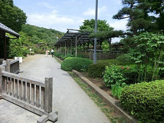 park. 440m until the civil rights of the forest park