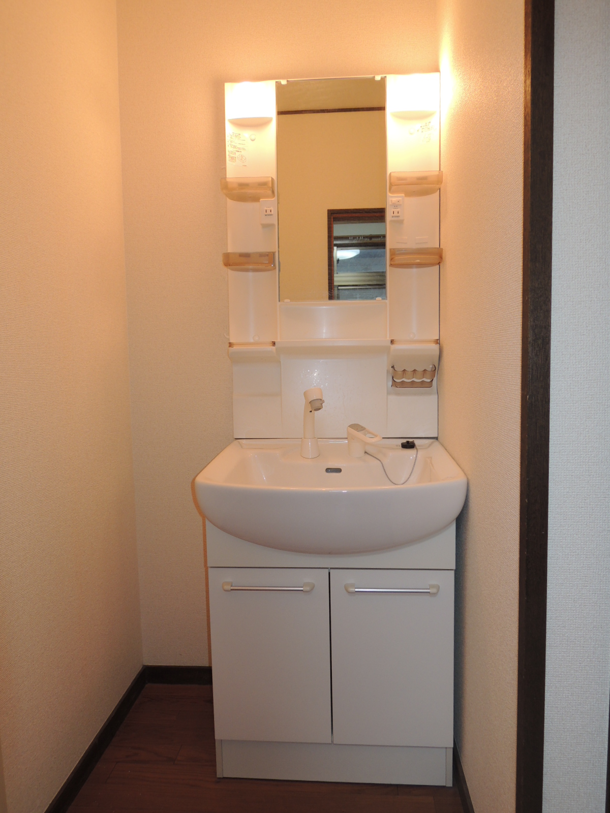 Washroom. Vanity with shower