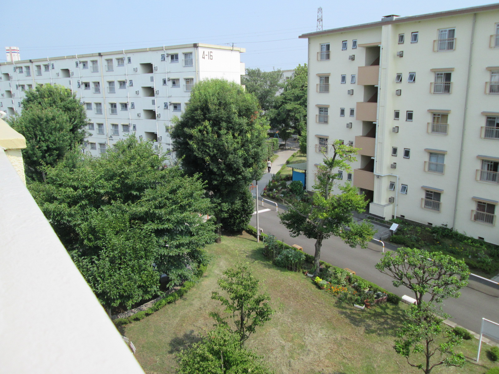 View. Placement and spacious also between Building