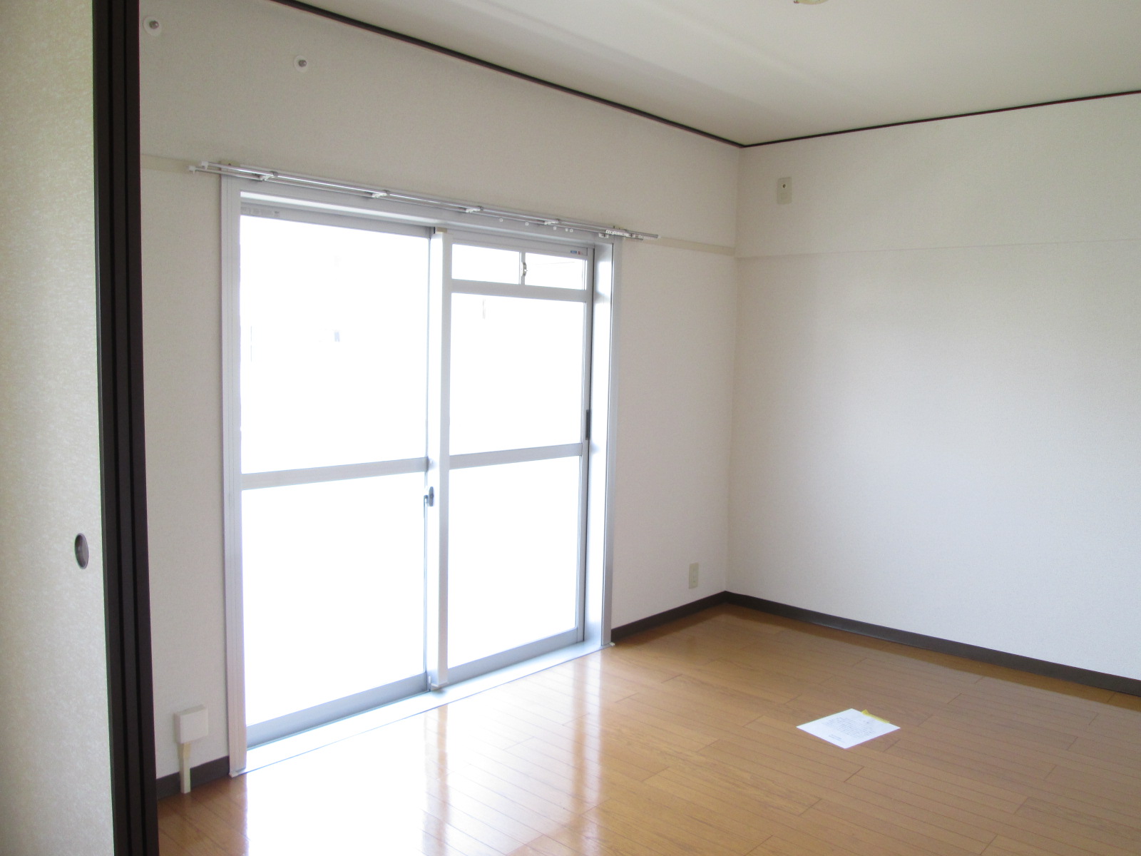 Living and room. South-facing bright living room