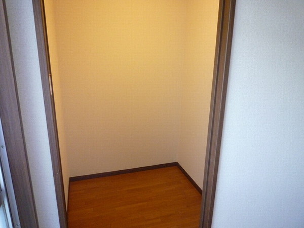 Other. Walk-in closet