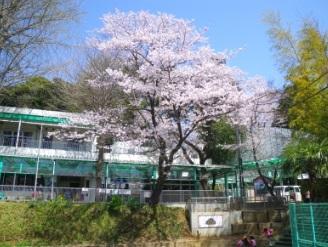 kindergarten ・ Nursery. Onoji 400m nursery until the first minute Gardens