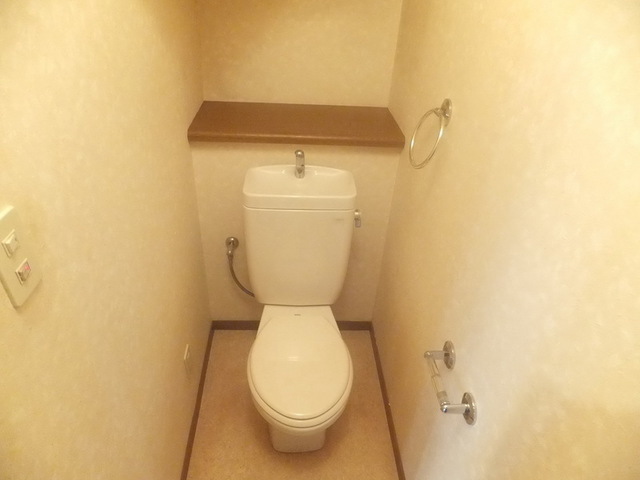 Toilet. ☆ Shelf with toilet ☆