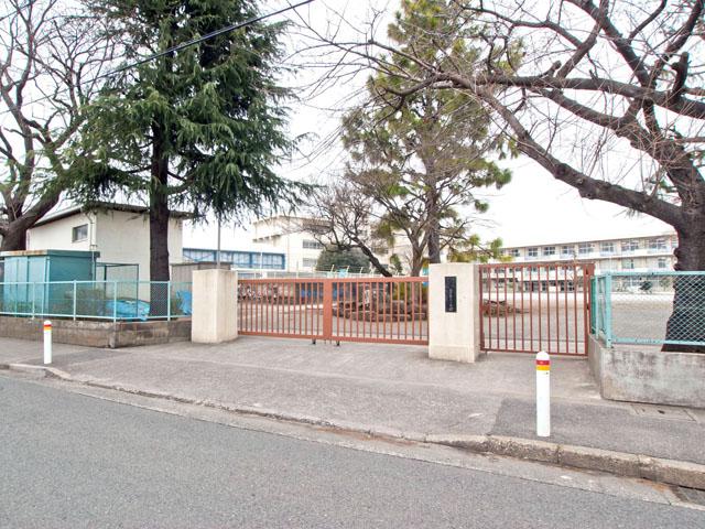 Other local. Machida Municipal Tadao third elementary school Distance 480m