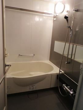 Bathroom. Egg-shaped wide bathtub