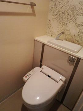 Toilet. Toilet with hand washing bowl