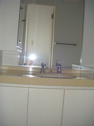 Washroom. Happy independence washbasin