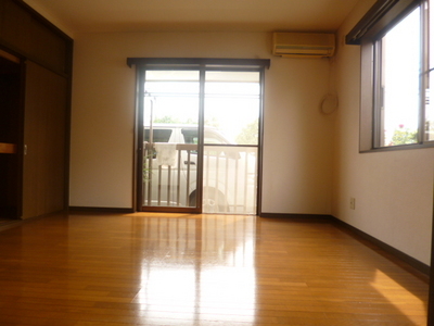 Living and room. Bright two-plane daylight