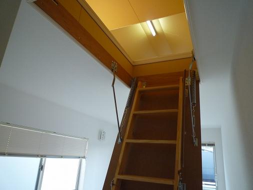 Other introspection. Grenier