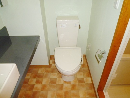 Toilet. Toilet