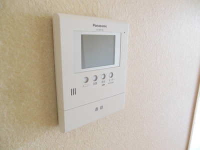 Security. Monitor is a book