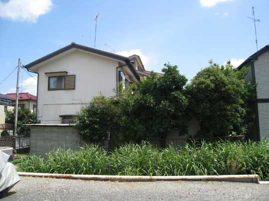 Local land photo. Appearance from west