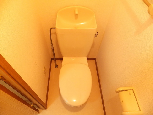 Toilet. Toilet