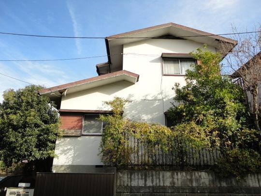 Local land photo. Local Photos