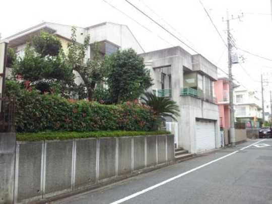 Local land photo. appearance