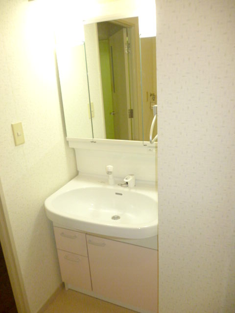 Washroom. Vanity with a three-sided mirror shower