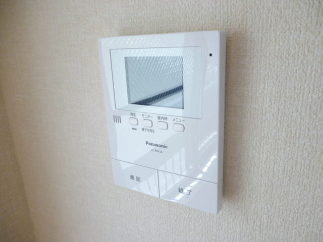 Security. TV monitor interphone