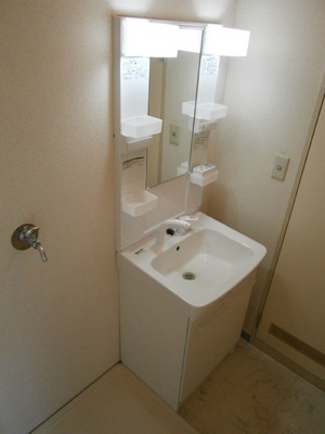 Washroom. Bathroom Vanity