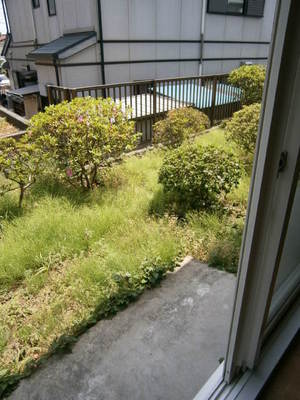 Garden. Terrace is like