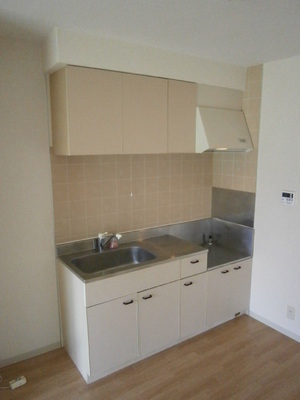 Kitchen. Gas stove installation Allowed
