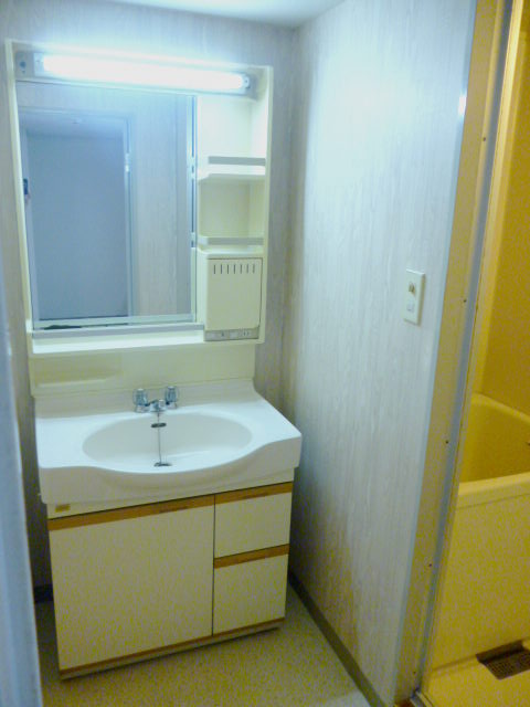 Washroom. Bathroom vanity