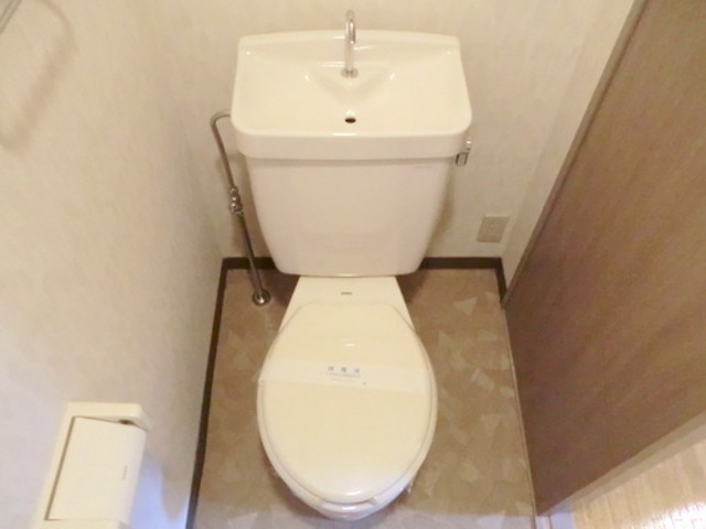 Toilet. Toilet