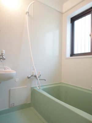 Bath. Pat ventilation so the bathroom there is also a window!